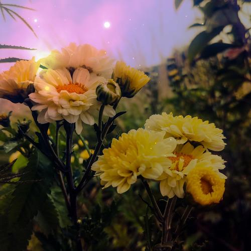 Photo #3732246