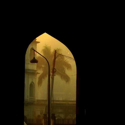 Photo #3732335