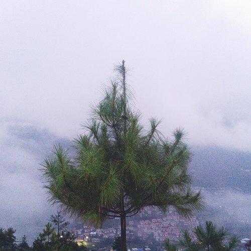 Photo #3733018