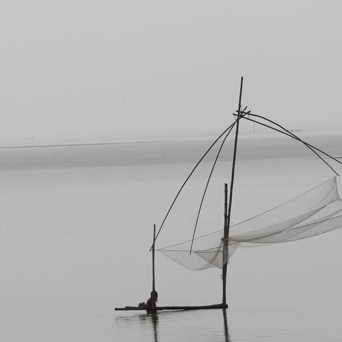 Photo #3733192