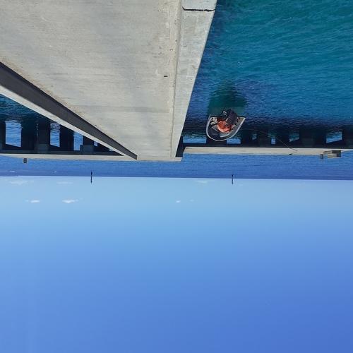 Photo #3733334