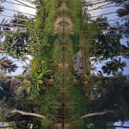 Photo #3733345