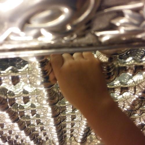 Photo #3733690