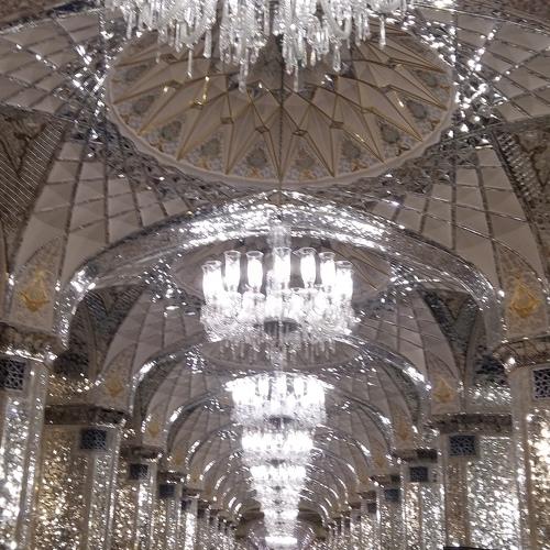 Photo #3733699