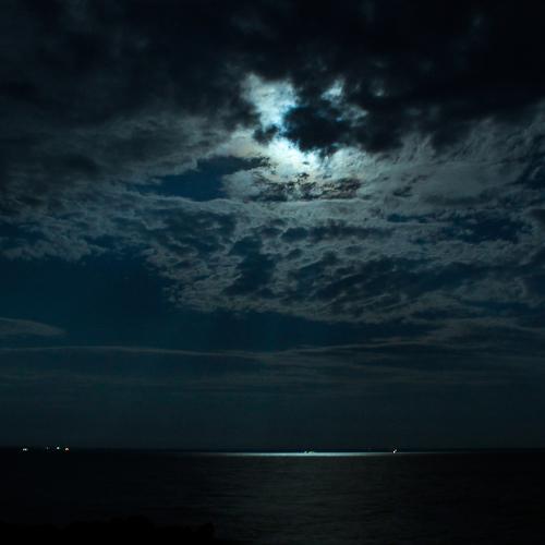 Photo #3733938