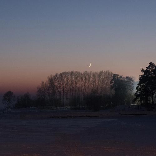 Photo #3733940