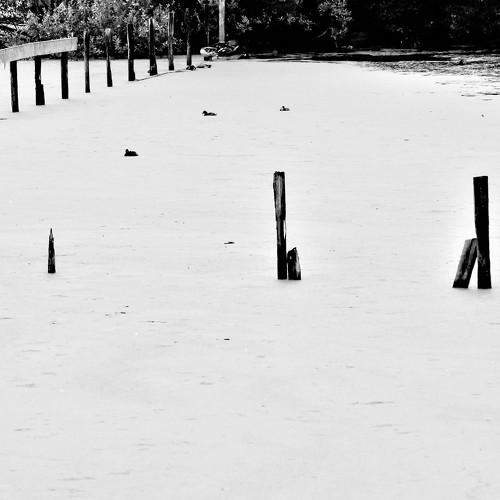 Photo #3734741