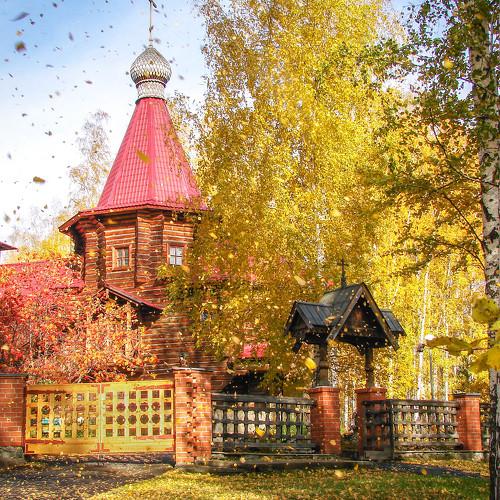 Осенний листопад