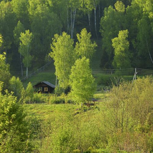 домик в лесу