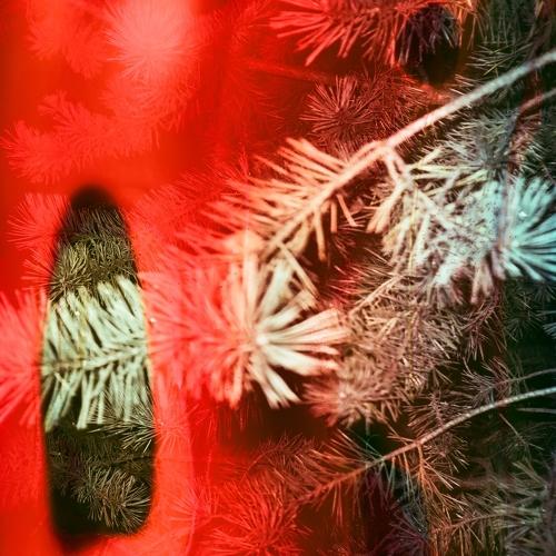 Photo #3735346