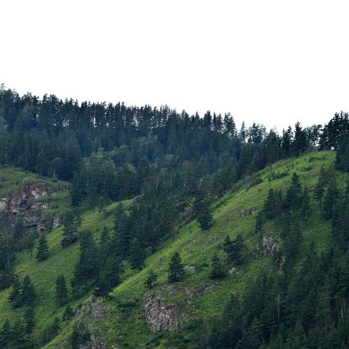Photo #3735388