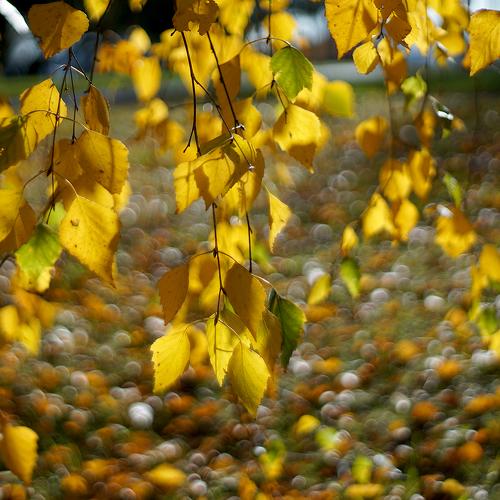 Photo #3735525