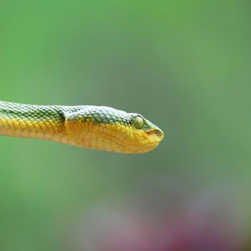 Photo #3735762