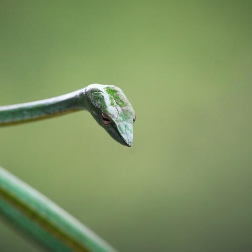 Photo #3735778