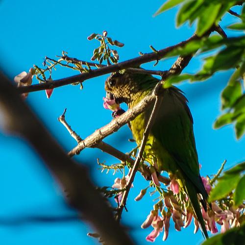 Photo #3735992