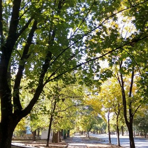 Photo #3736633