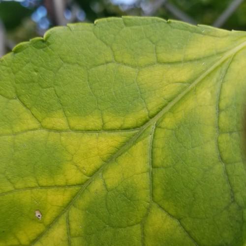 Photo #3736818