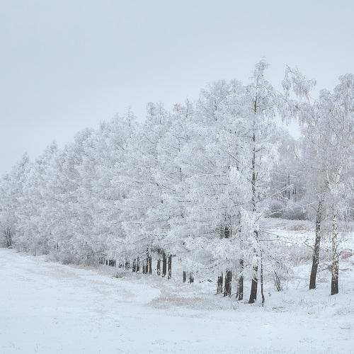 Photo #3737242