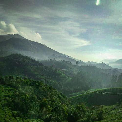 Photo #3737287