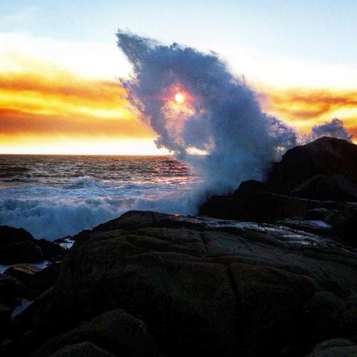 Photo #3737378