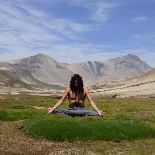 Yoga Nature