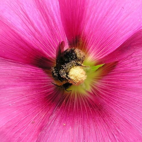 Photo #3738128