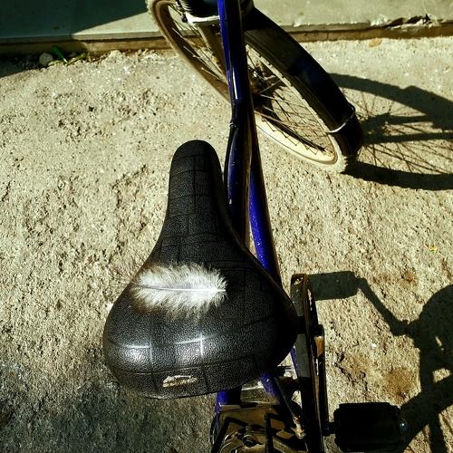 Photo #3738187