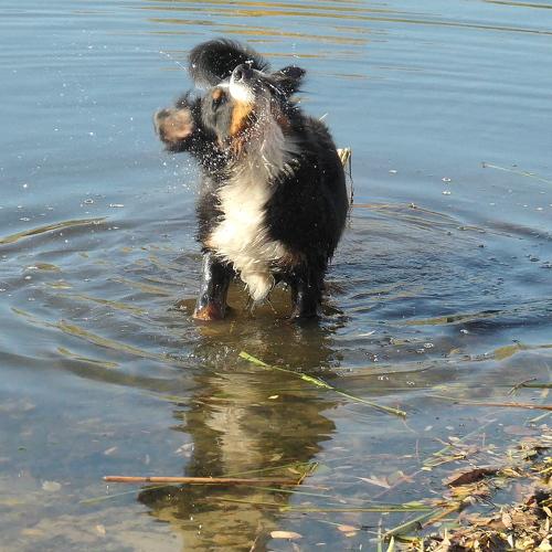 Photo #3738408