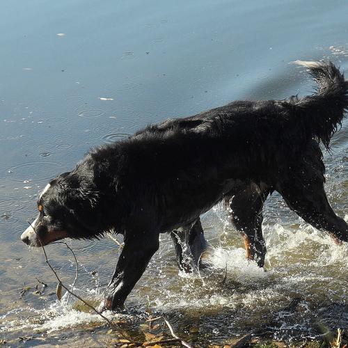 Photo #3738435