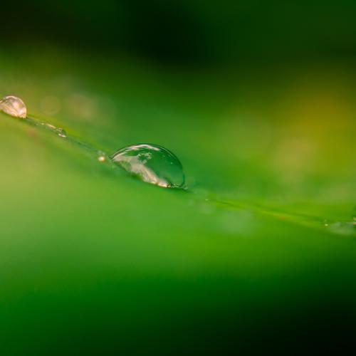Photo #3738484