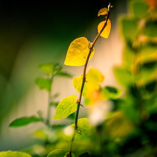 Photo #3738528