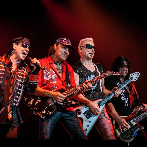 Photo #3738610