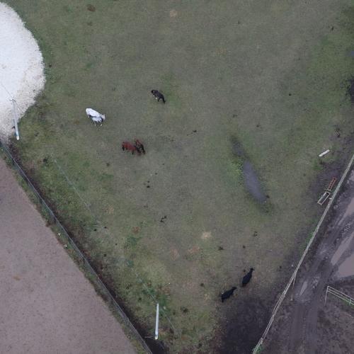 Photo #3738652