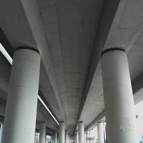 Photo #3739169
