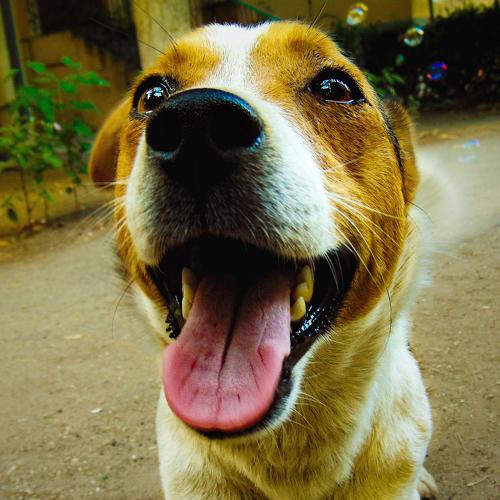 Photo #3739303