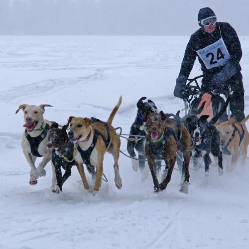 Photo #3739331