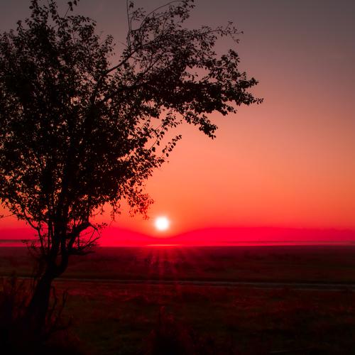 Photo #3739333