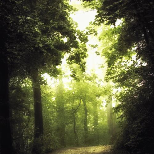 Photo #3739463