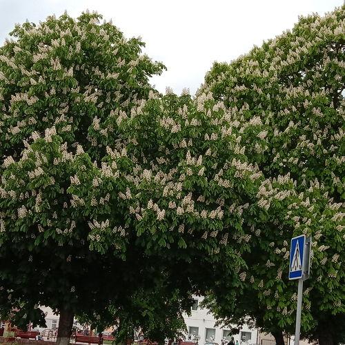 Photo #3739574