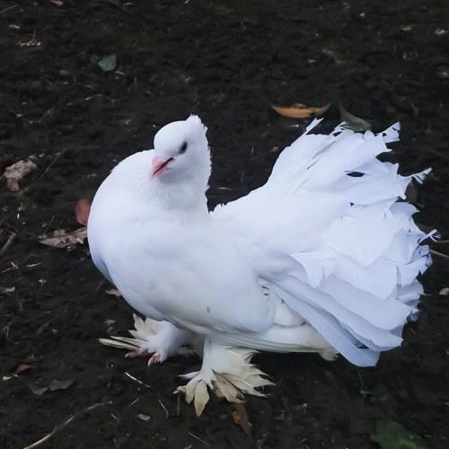 Photo #3739667