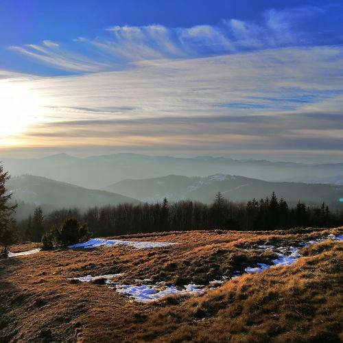 Photo #3739853