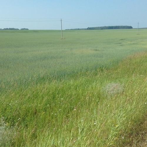 Photo #3739988