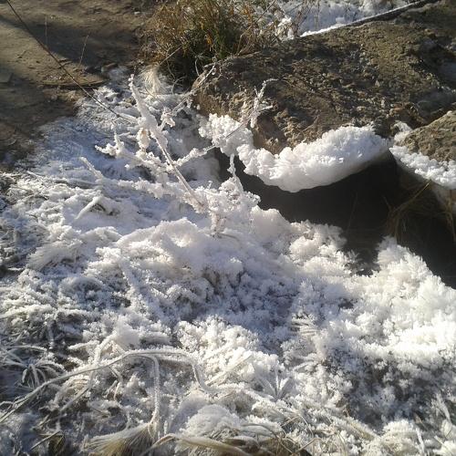 Photo #3739996
