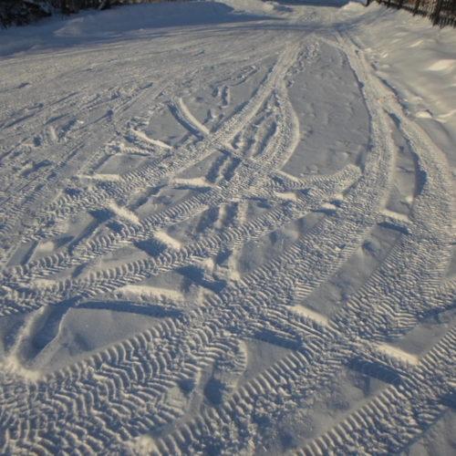 Photo #3739998