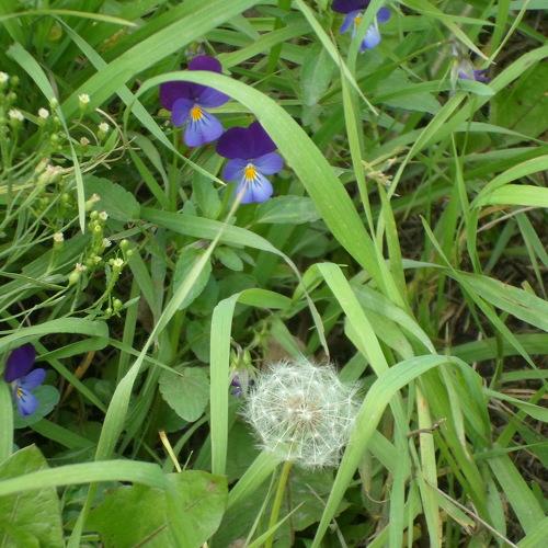 Photo #3740007