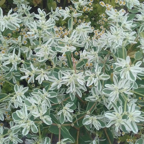 Photo #3740048