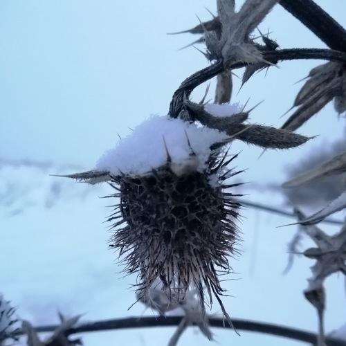 Photo #3740195