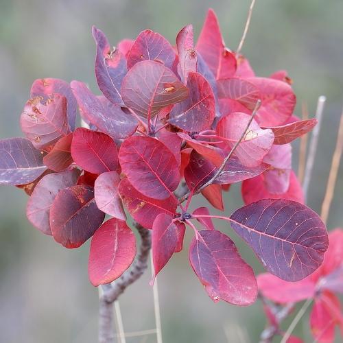 Photo #3740290