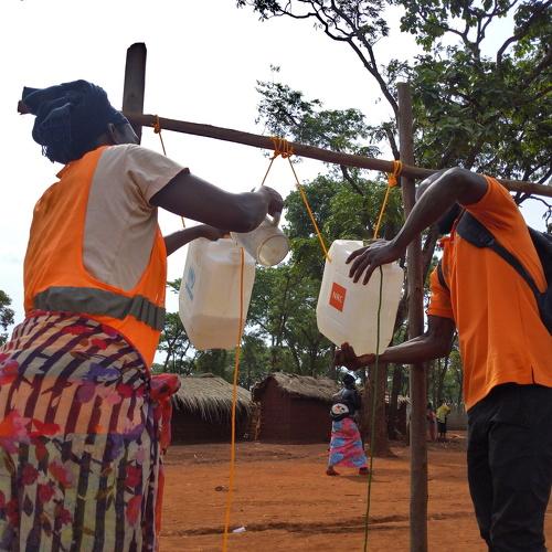 Photo #3740294