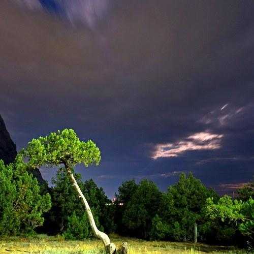 Photo #3740304